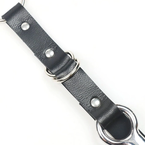 EverydayUse Collar Kinky Hook with Anal Leash 5853 and 0928
